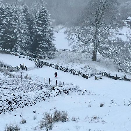 Climbers Cottage Rosedale Abbey Екстериор снимка
