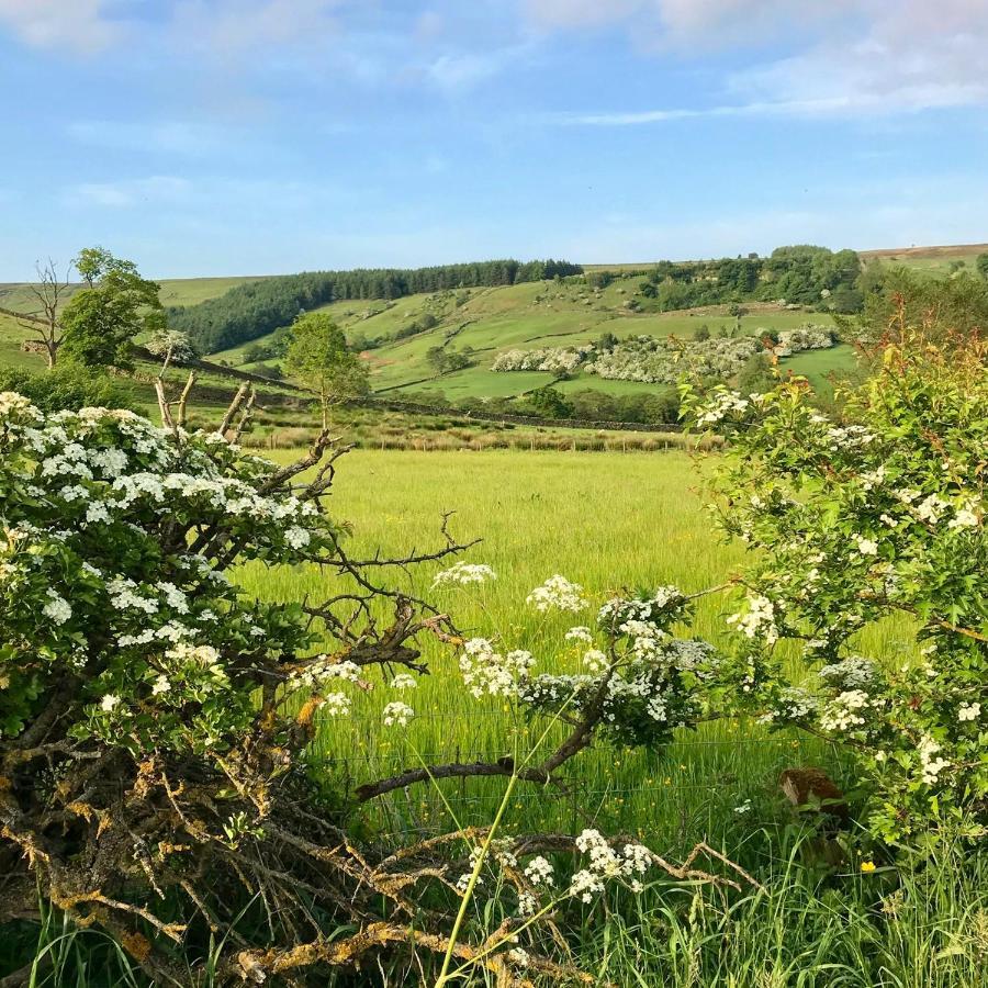 Climbers Cottage Rosedale Abbey Екстериор снимка